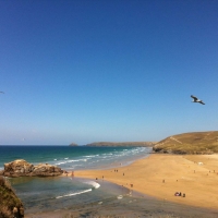 beach-and-bird-from-droskyn