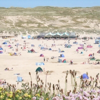 beach-busy-summer