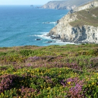 cliff-top-colours